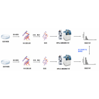 Label Free定量蛋白質(zhì)組學(xué)